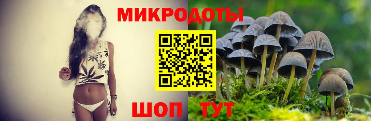 Псилоцибиновые грибы мицелий Менделеевск